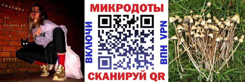 Галлюциногенные грибы GOLDEN TEACHER  сколько стоит  Тарко-Сале 